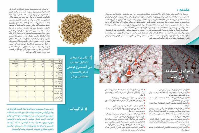 441126کاتالوگ 2.jpg